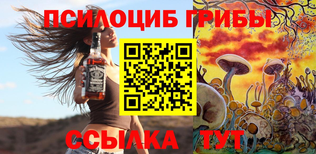 Наро-Фоминск  Галлюциногенные грибы Cubensis  Псилоцибиновые грибы прущие грибы  Вход с VPN 
